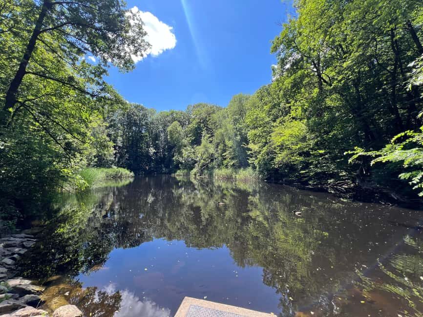 Combo ticket: Ernst Fuchs Museum & Otto Wagner Complex with smartphone guide - Authentic Insights from Reviewers