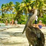 Contoy Reef & Isla Mujeres Tour! From Cancun & Playa del Carmen - What’s Included and What’s Not