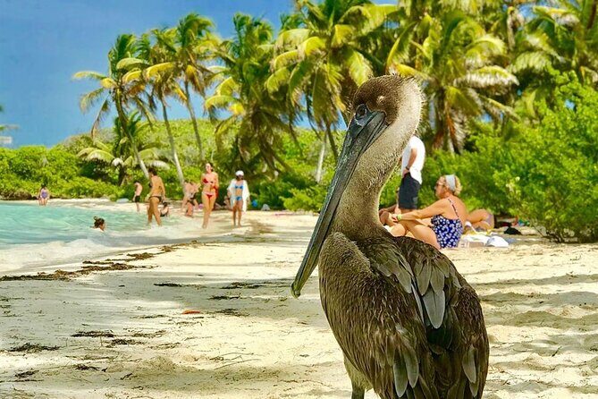 Contoy Reef & Isla Mujeres Tour! From Cancun & Playa del Carmen - What’s Included and What’s Not