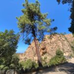 Corsica: Piana Day Trip by Minibus from Bastia - Authentic Experiences and Traveler Tips