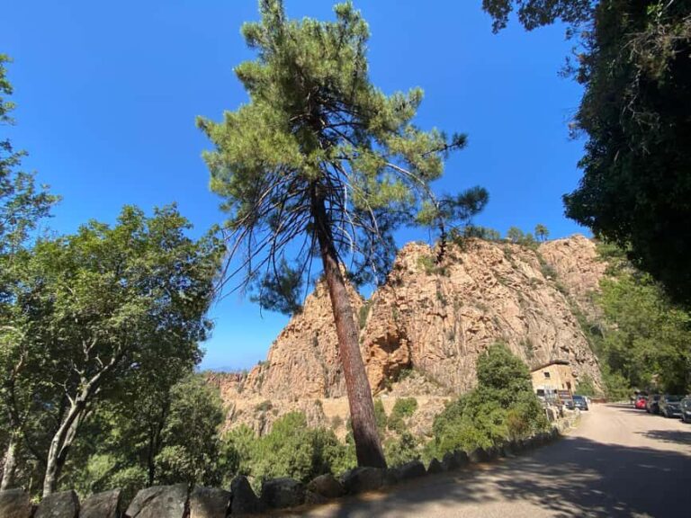 Corsica: Piana Day Trip by Minibus from Bastia - Authentic Experiences and Traveler Tips