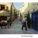 Cyprus: Omodos, Arsos Village & Wine Tasting - What Makes This Tour Stand Out?