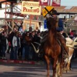 Dallas: City & Fort Worth Combination Tour - Who Will Love This Tour?