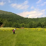 Day Trip to the Land of Hidden Caves - Practical Details and Value