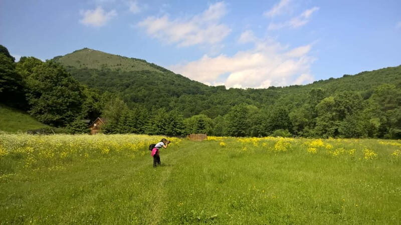 Day Trip to the Land of Hidden Caves - Practical Details and Value