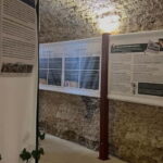 Dégustation de vins au Caveau Délicave - Thorough Breakdown of the Itinerary