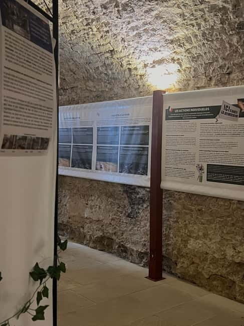 Dégustation de vins au Caveau Délicave - Thorough Breakdown of the Itinerary