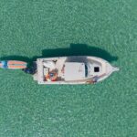 Destin Dolphin and Snorkeling Adventure Speedboat Tour - Who Will Love This Tour?