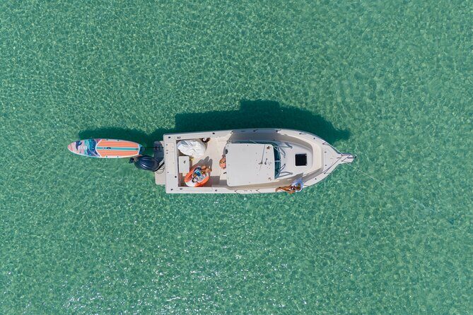 Destin Dolphin and Snorkeling Adventure Speedboat Tour - Who Will Love This Tour?