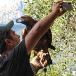 Discover the fantastic world of birds of prey in the Pollino National Park. - Final Thoughts