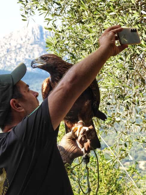Discover the fantastic world of birds of prey in the Pollino National Park. - Final Thoughts