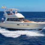 Discover whales in Tenerife: exclusive yacht tour with swimming and lunch. - Practical Details and Tips for Booking