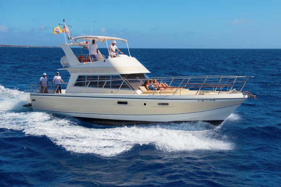 Discover whales in Tenerife: exclusive yacht tour with swimming and lunch. - Practical Details and Tips for Booking