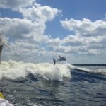 Dolphin Watching aboard the Cold Mil Fleet - The Value of the Experience