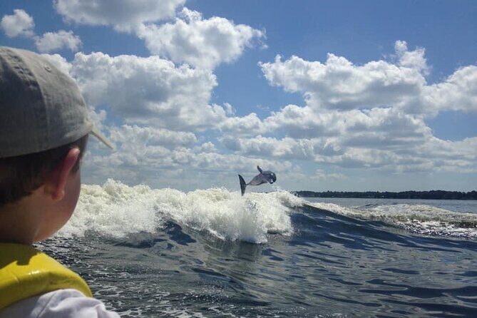 Dolphin Watching aboard the Cold Mil Fleet - The Value of the Experience