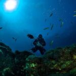 Double dive in Santa Maria Island - Azores - Value and Cost Analysis