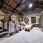 Douro Valley: 2 Wineries, Lunch & Boat - A Thorough Look at the Douro Valley Tour