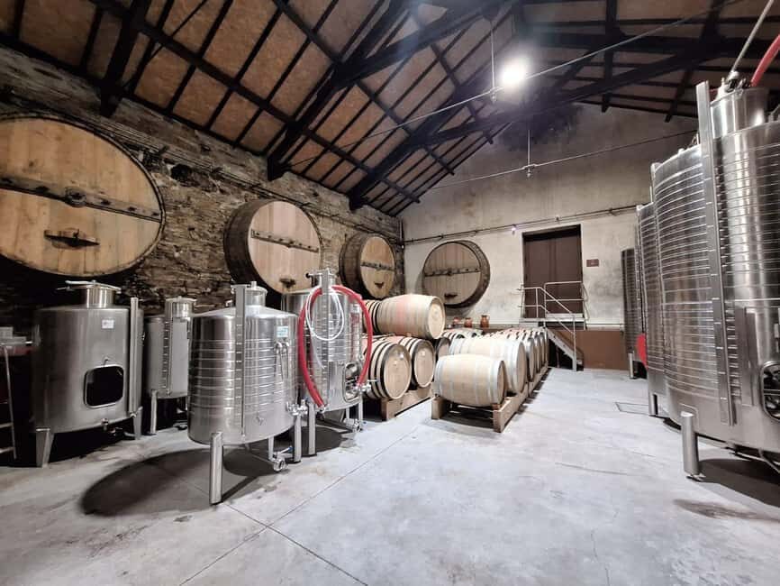 Douro Valley: 2 Wineries, Lunch & Boat - A Thorough Look at the Douro Valley Tour