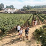 Douro Valley: Real Small-Group, Wine Tasting, Lunch & Boat - Why This Tour Works for Travelers