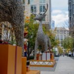 Downtown DC Holiday Tour: Lights, Decorations & Festive Cheer - Final Thoughts: Who Will Love This Tour?