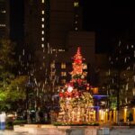 Downtown Holiday Lights, Food & Cocktail Tour - The guide and overall vibe