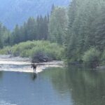 E Bike Tour in Glacier National Park Cammas Road - The Practicalities: What You Need to Know