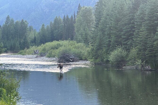 E Bike Tour in Glacier National Park Cammas Road - The Practicalities: What You Need to Know