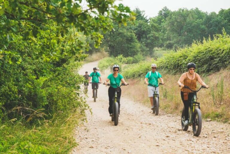 Electric scooter tour and wine tasting at Château de Chamirey - Why This Tour Works Well for Certain Travelers
