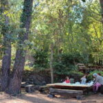 Etna & Sea: Pic Nic in Batia - What To Expect: Day-by-Day Breakdown