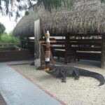 Everglades Tour from Miami with Transportation - Learning and Wildlife Shows