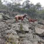 Excursion to the Vésubie Valley from Nice - Good To Know