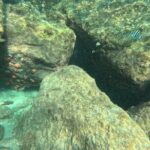 Experience Peanut Island Adventures with Go Pro - Practical Tips for a Smooth Experience