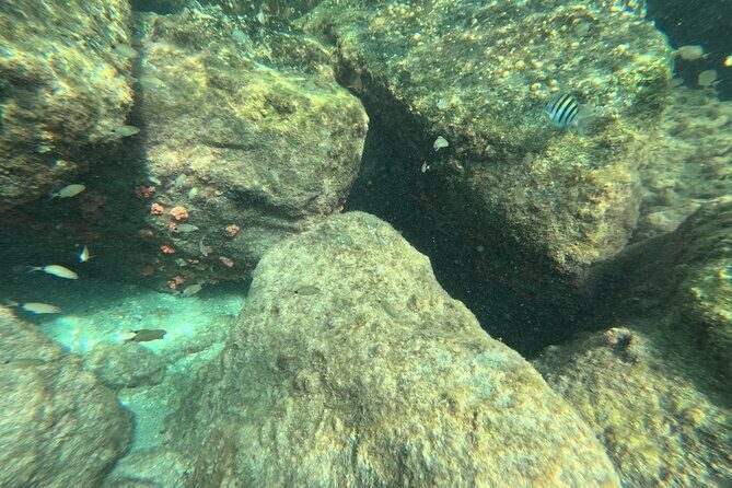 Experience Peanut Island Adventures with Go Pro - Practical Tips for a Smooth Experience