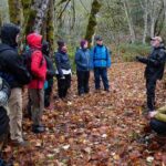 Foraging Tour of Edible Plants and Mushrooms in Brinnon - Frequently Asked Questions (FAQs)