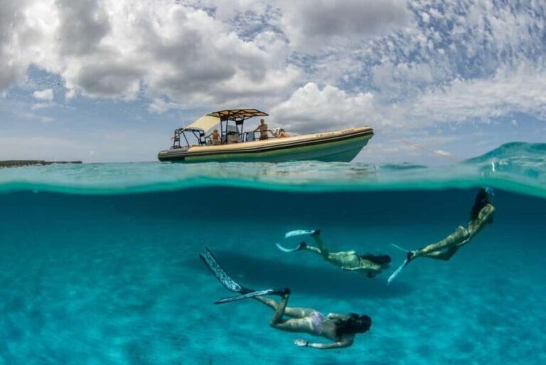 Formentera Natural Park: Snorkeling Experience - The Value of the Price