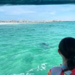 Fort Walton Beach: Emerald Coast 2-hour Dolphin Cruise - A Closer Look at the Experience