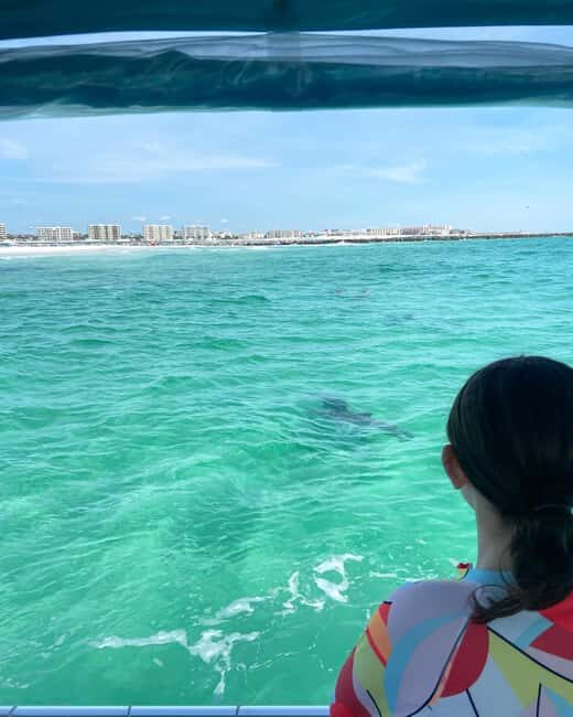 Fort Walton Beach: Emerald Coast 2-hour Dolphin Cruise - A Closer Look at the Experience