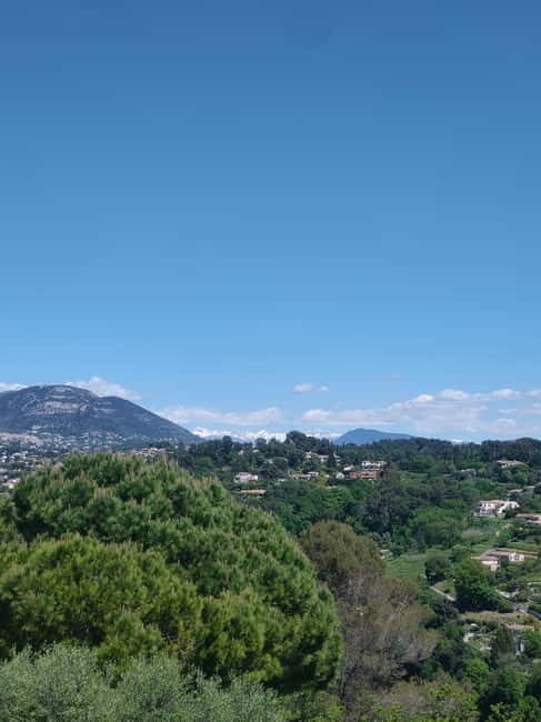 French Riviera Full Day Tour - Why This Tour Offers Great Value