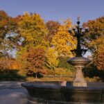 Friends Filming Locations in New York City with Private Guide - Who Will Love This Tour?