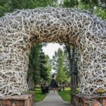From Bozeman Yellowstone and Teton Tour 3 Days and 2 Nights - Day Three: Geothermal and Wildlife Highlights