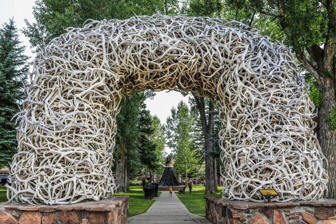 From Bozeman Yellowstone and Teton Tour 3 Days and 2 Nights - Day Three: Geothermal and Wildlife Highlights