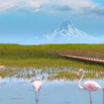 From Cappadocia: Sultan Marshes Area & Waterfall Tour - The Cascades: Kapuzba & Elif Waterfalls