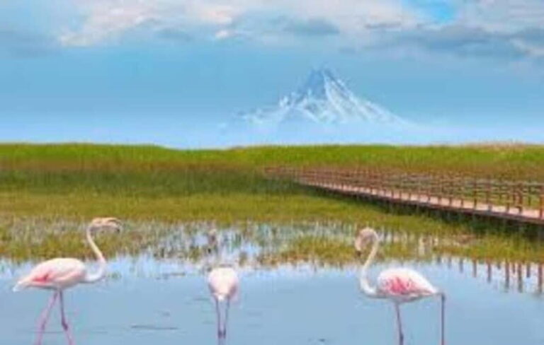 From Cappadocia: Sultan Marshes Area & Waterfall Tour - The Cascades: Kapuzba & Elif Waterfalls