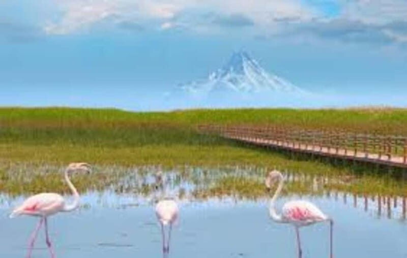 From Cappadocia: Sultan Marshes Area & Waterfall Tour - The Cascades: Kapuzba & Elif Waterfalls