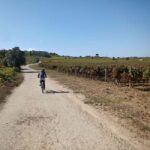 From Coimbra: Cycling in the Vineyards of Bairrada - An In-Depth Look at the Bairrada Cycling Experience