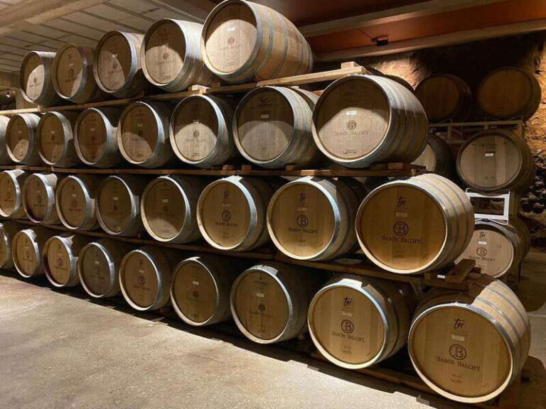 From Ensenada: Wine Tour at Guadalupe Valley Ensenada - Practical Tips for Making the Most of Your Day