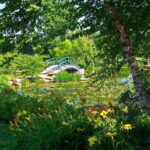 From Paris Excursion to Monet's Gardens - Giverny in minivan - The Experience and the Guides