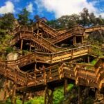 From Porto: Aveiro, Paiva Walkways, & Suspension Bridge Tour - Authentic Experiences & What Reviewers Love