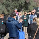 From Rome: Villa D'Este and Hadrian's Villa Tivoli Day Tour - The Itinerary, Step-by-Step
