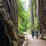 From San Francisco: Muir Woods, Sausalito and Alcatraz Tour - Practical Aspects of the Tour